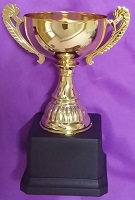 Metal Cup Trophy 1